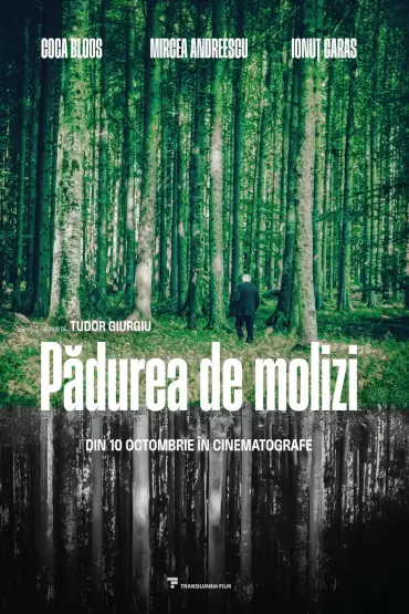 Poster oficial Pădurea de Molizi – Vlad Ivanov și Ioana Bugarin în peisaj montan românesc